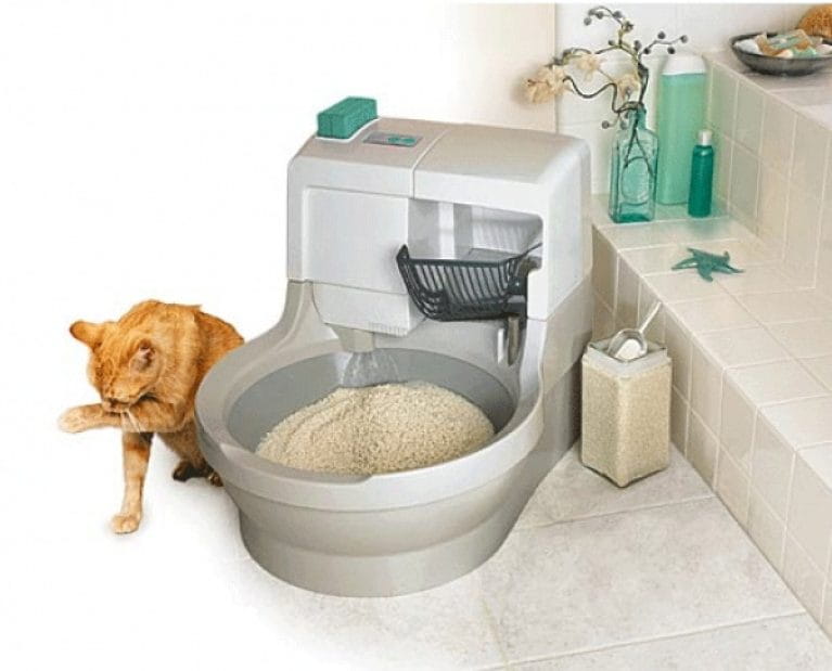 can you flush cat litter