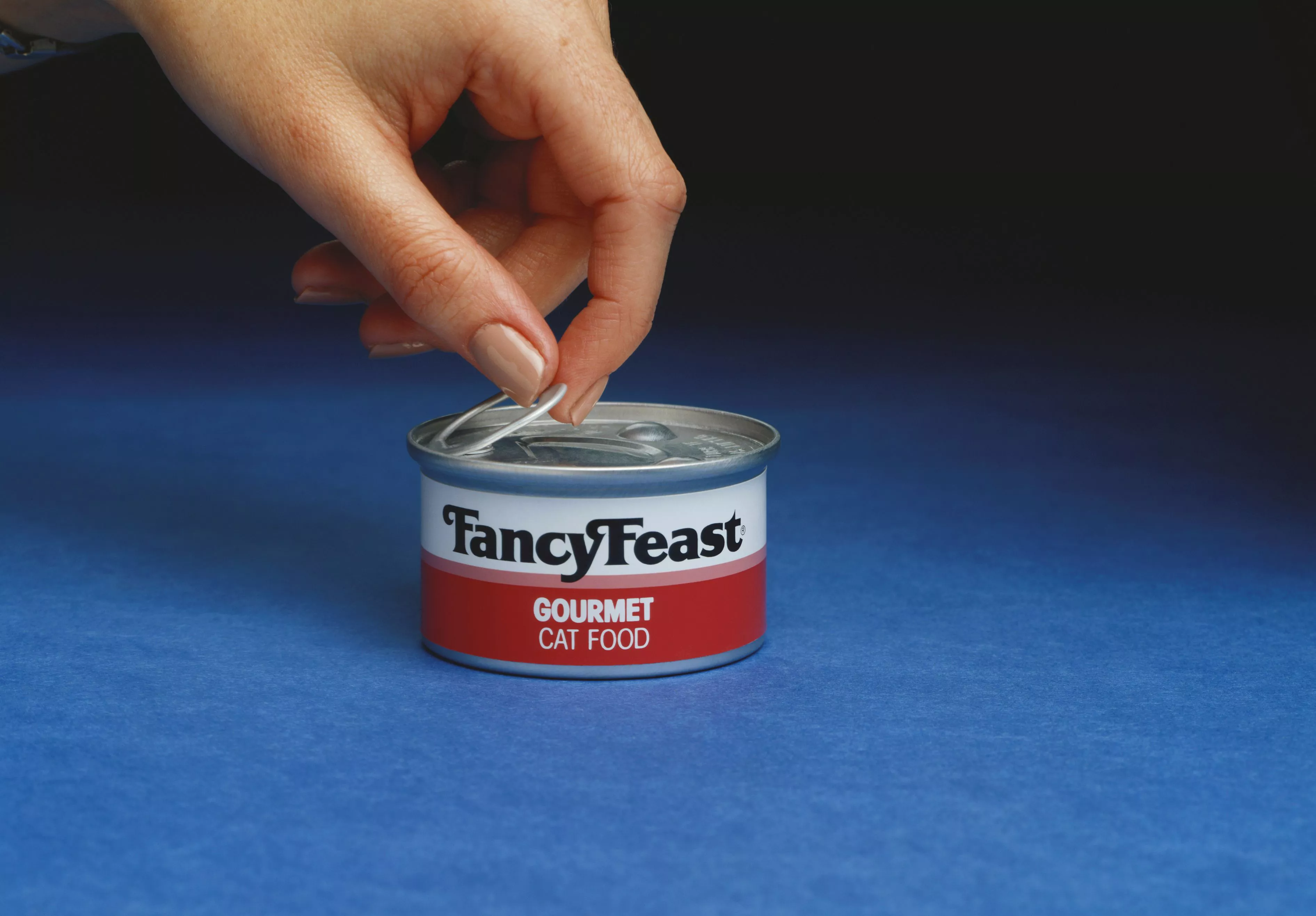 Studio shot of person opening a can of cat food