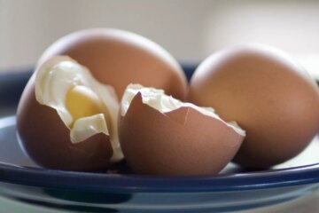 Can Dogs Eat Eggs?