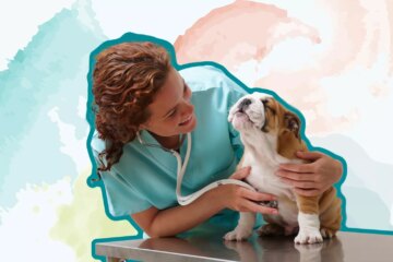 Best Online Veterinarians