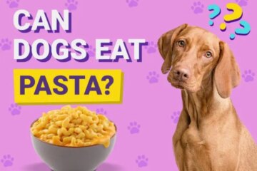 Can Dogs Eat Pasta? The Ultimate Guide for Pet Owners