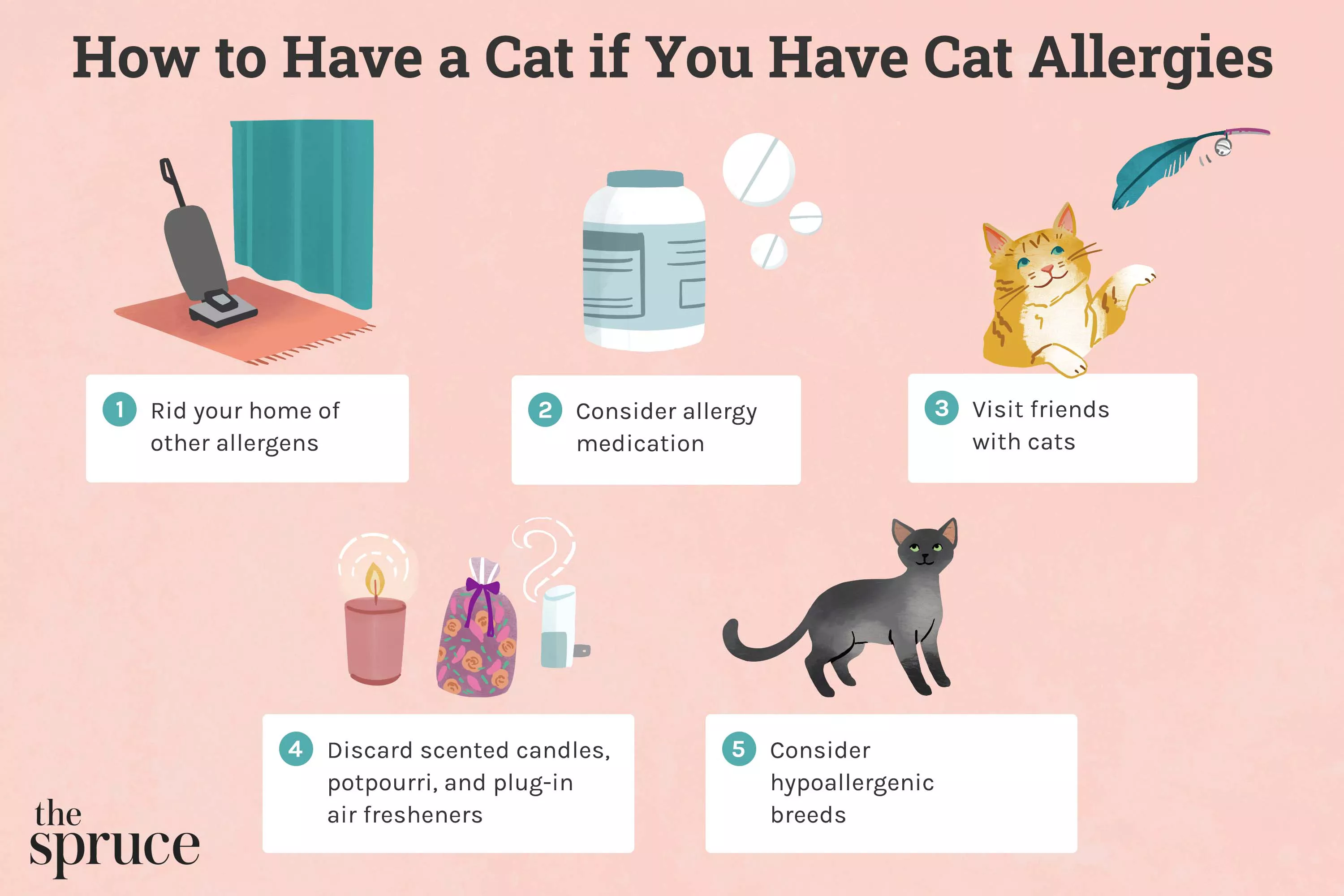 How to Have a Cat if You Have Cat Allergies
