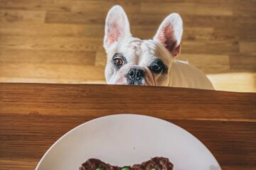 Can Dogs Eat Peas?