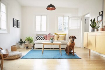 15 Best Condo Dogs for Apartments or Condos