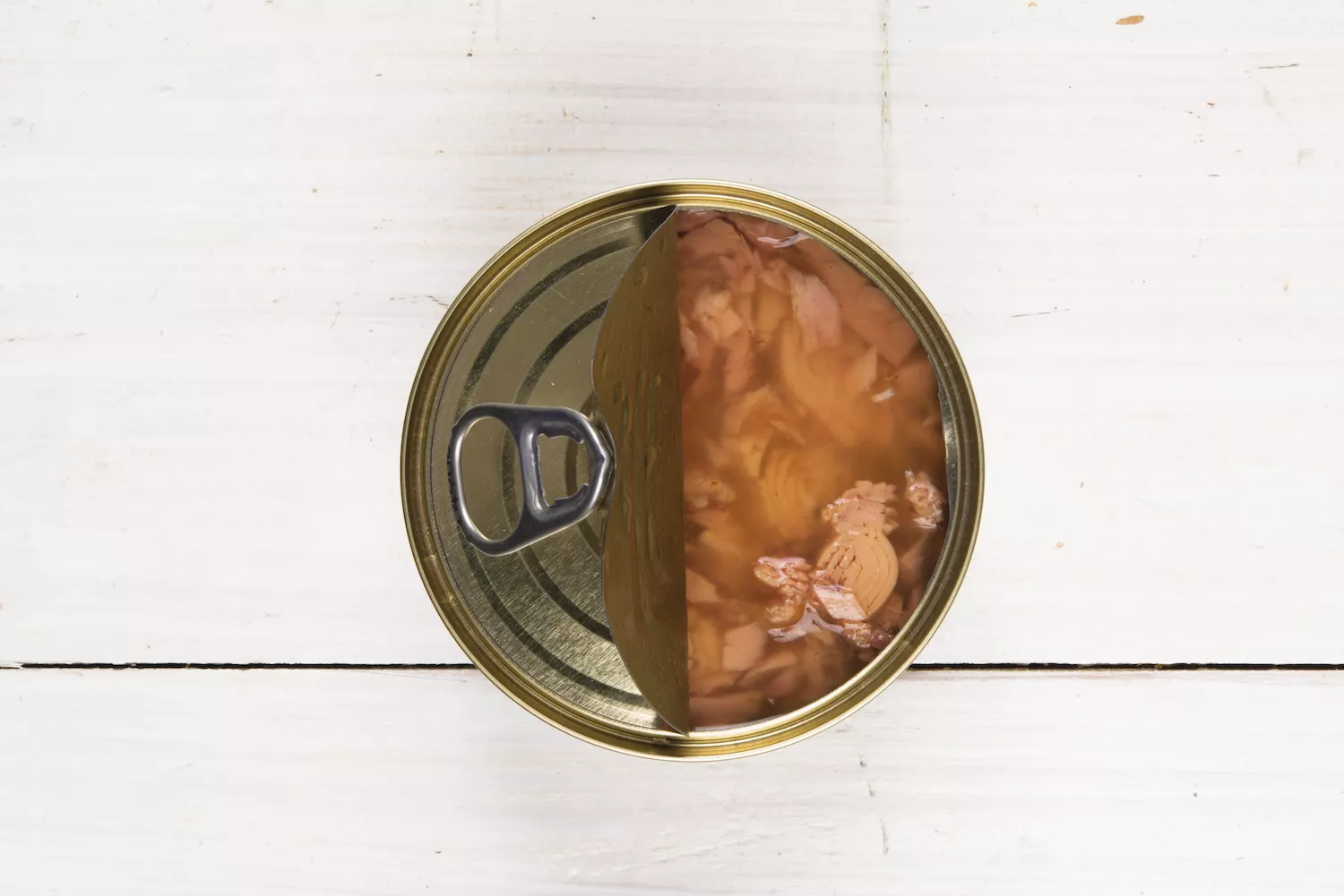 can of tuna