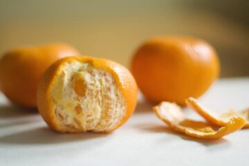 Can Dogs Eat Oranges?