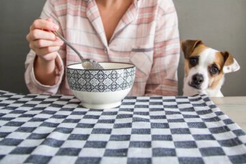 Can Dogs Eat Quinoa?