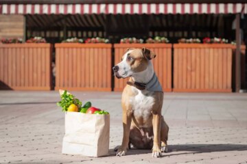 Can Dogs Eat Peppers?