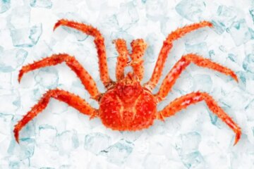 23 Common Types of Crabs (With Pictures and Identification)