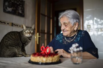 What Is the Average Lifespan of the Common Cat?