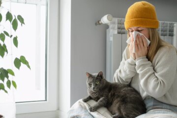 15 Best Hypoallergenic Cat Breeds for Allergy-Prone Pet Lovers