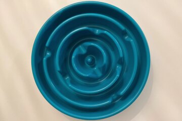 The 7 Best Slow Feeder Bowls for Dogs, Tested and Reviewed