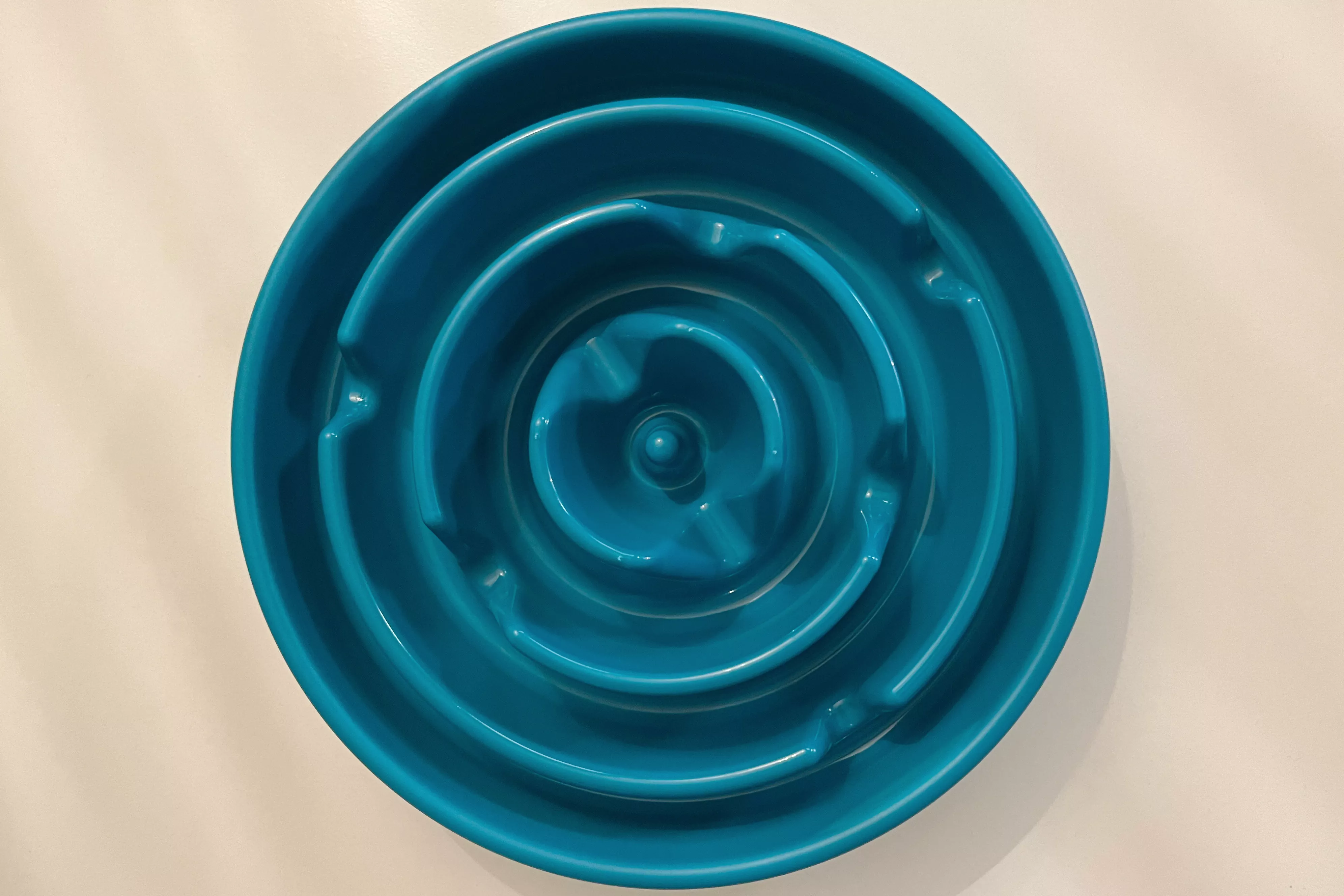 The Outward Hound Non-Skid Plastic Slow Feeder Interactive Dog Bowl on the floor