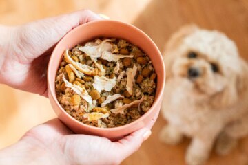Can Dogs Eat Turkey Giblets? Discover Safe Parts of Turkey for Dogs