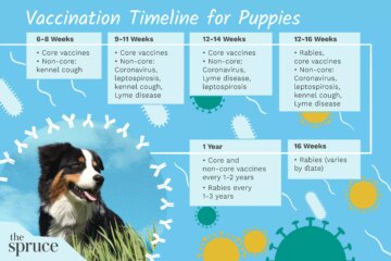 Puppy Vaccine Schedule and Information