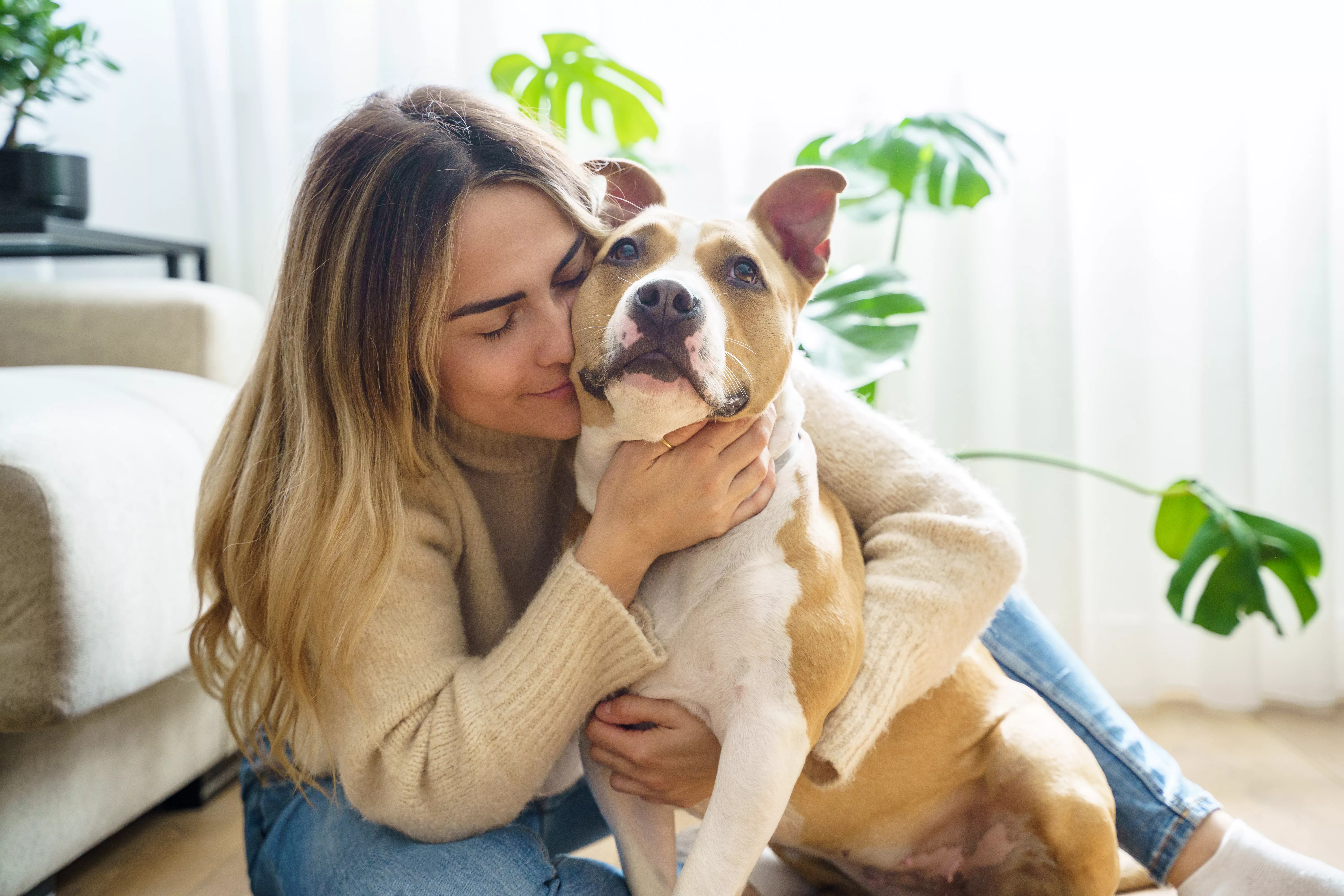 Woman sitting on floor hugging pit bull dog
