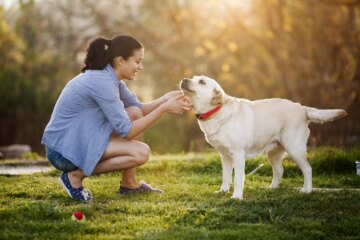 Dog Body Language: Tail Wagging