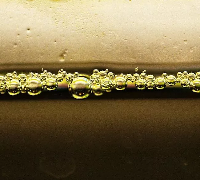 Dirty Aquarium Water