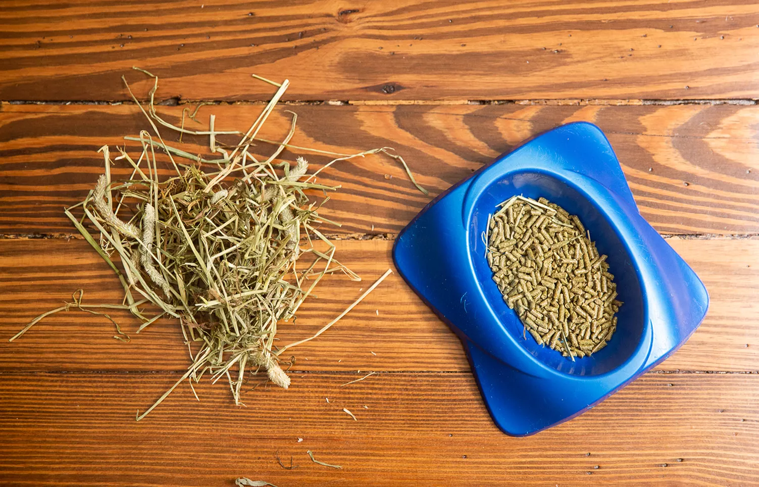 Rabbit food pebbles in blue bowl and straw laying on wood