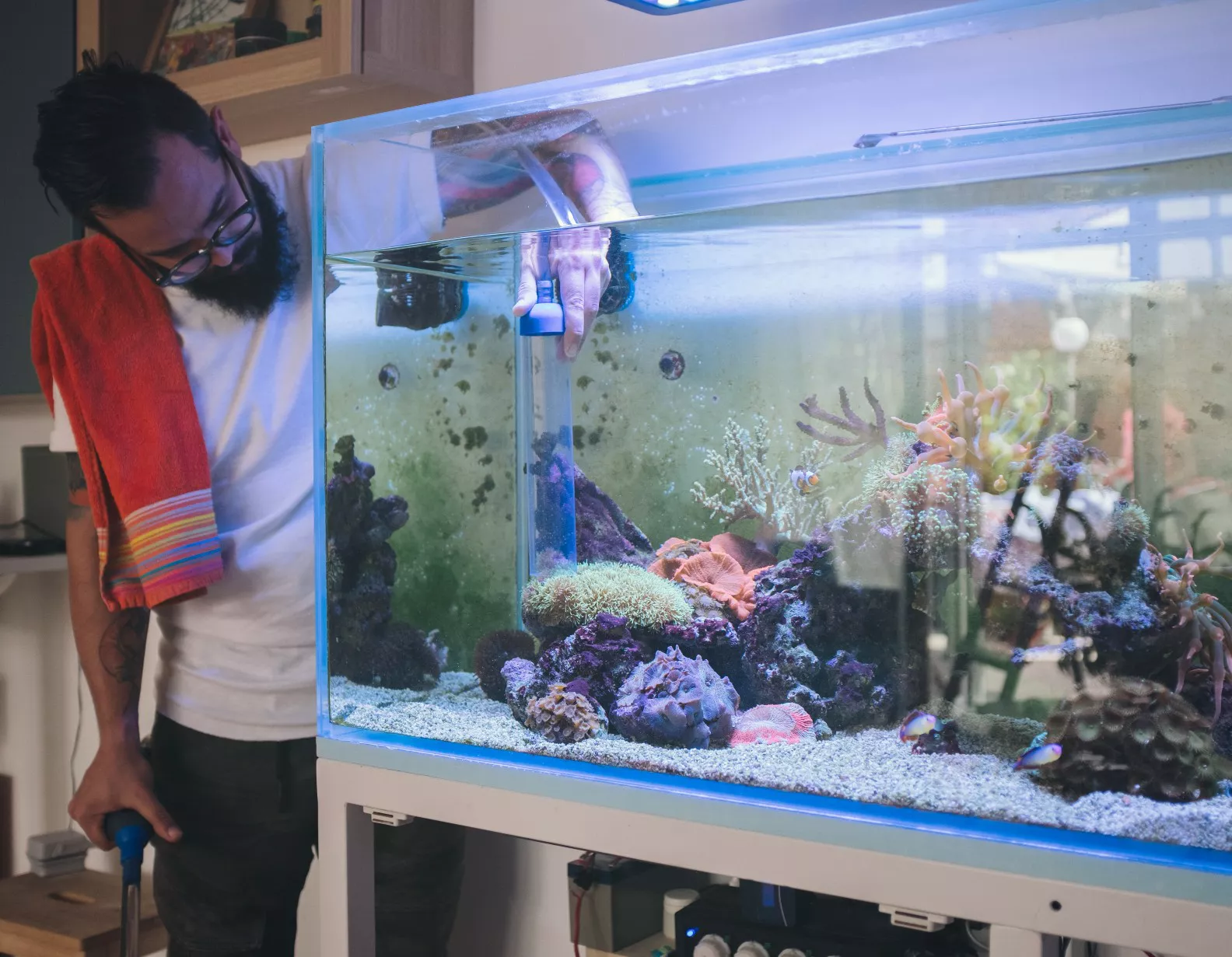 man maintaining saltwater aquarium