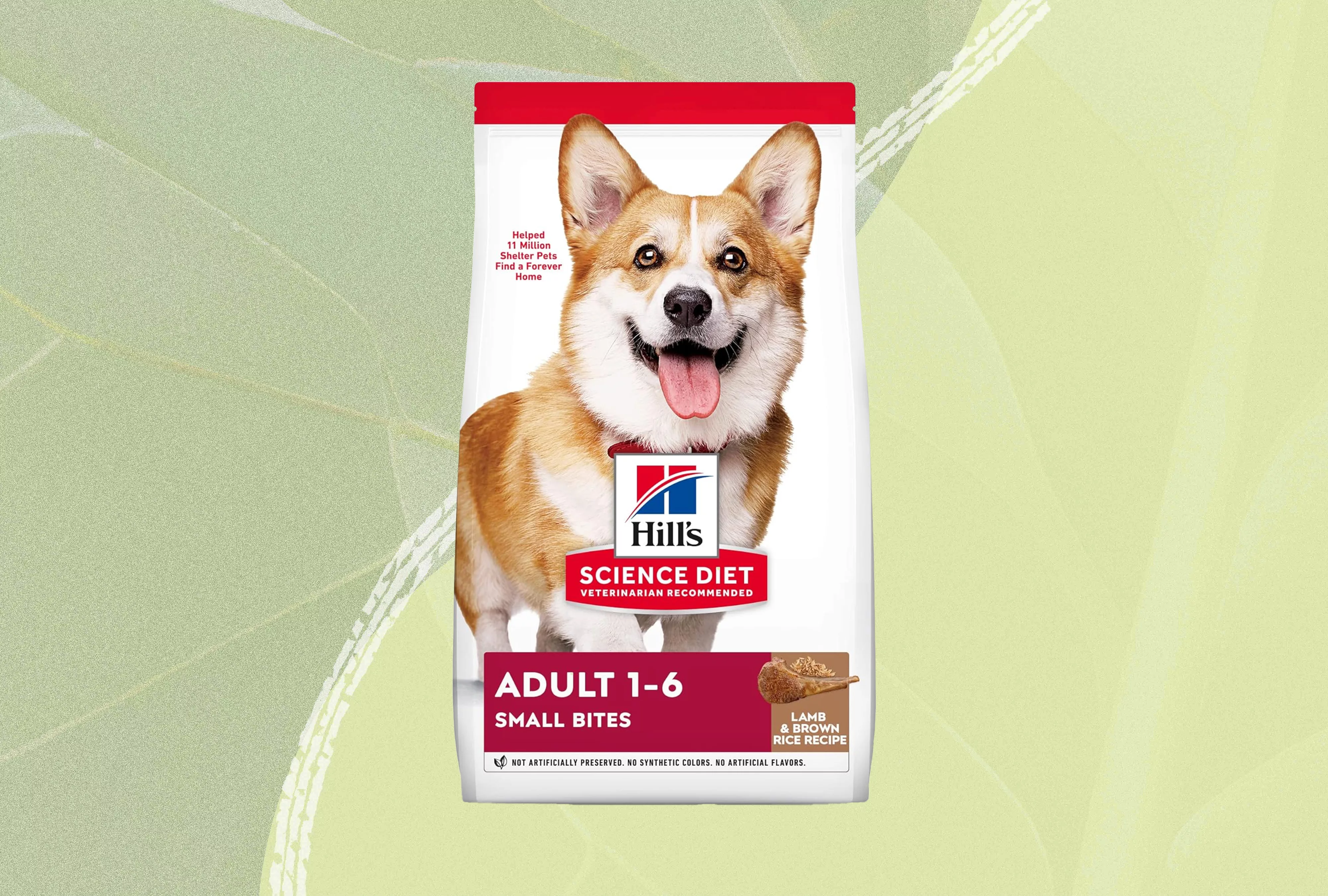 Dry dog food we recommend on a green background